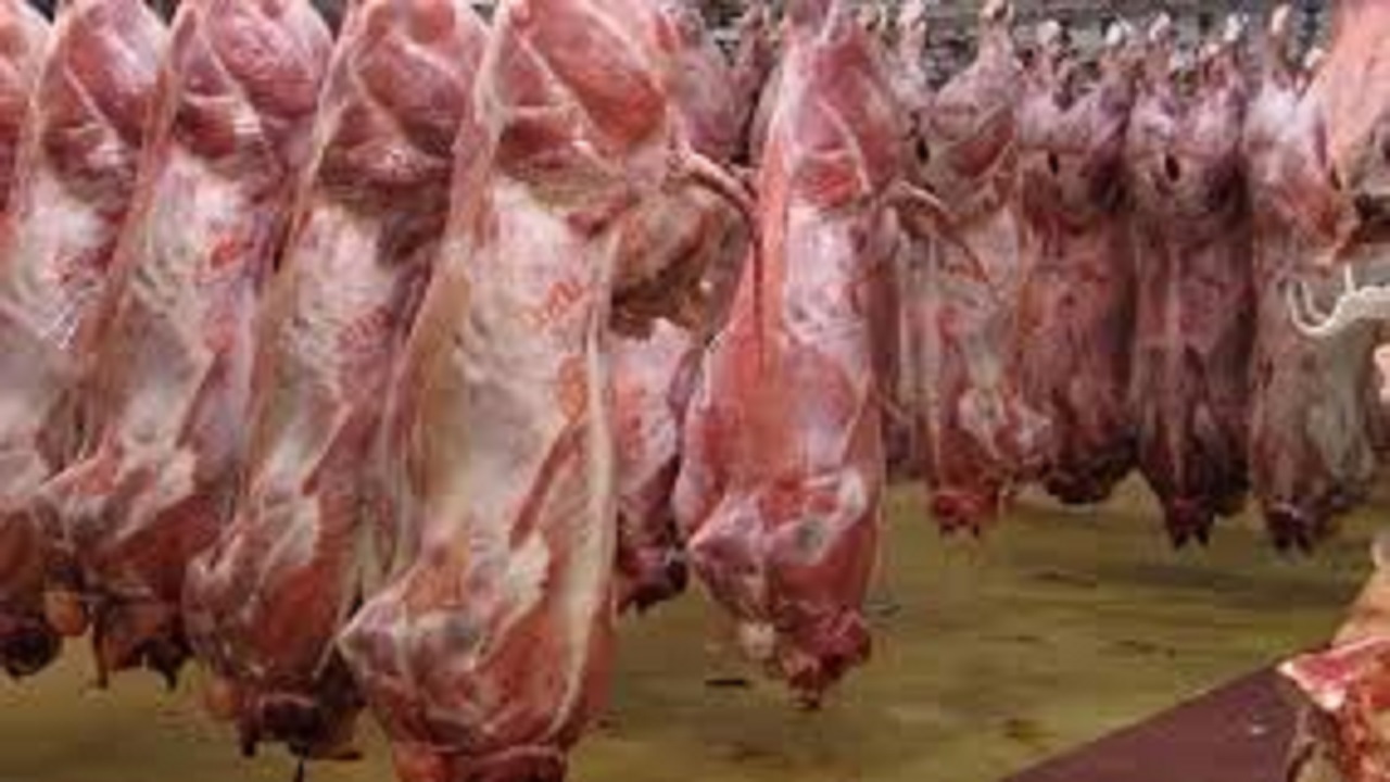 توزیع گوشت‌های وارداتی تا رسیدن بازار به آرامش ادامه دارد