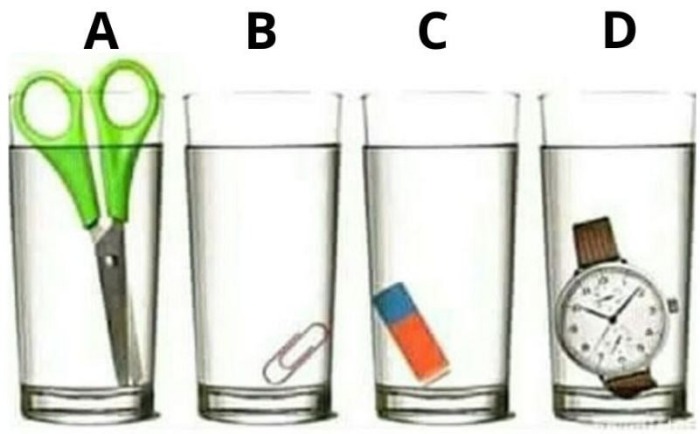کدام لیوان آب بیشتری داره؟ + جواب غافلگیرکننده