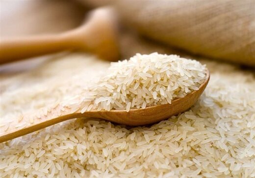 واردات برنج رکورد دار شد